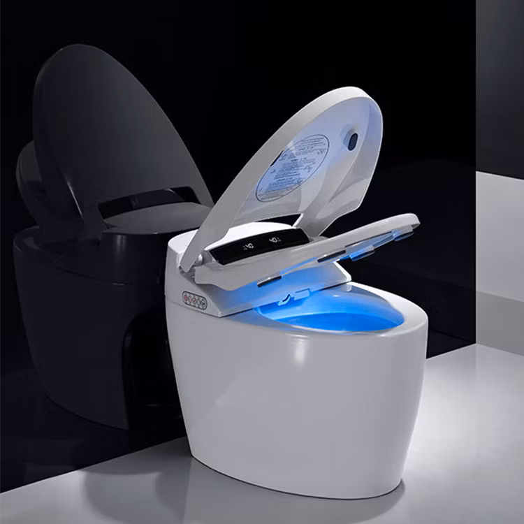Self-Cleaning Toilet